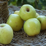 pommes de Sant'Agata produits typiques de Massa Lubrense